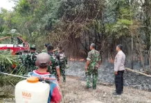 Lahan Perkebunan Warga Terbakar, Tim Gabungan Bergerak Cepat