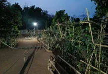 Kebun Pekarangan Produktif, Wujudkan Ketahanan Pangan dari Rumah