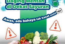 Suka Menyimpan Daging Mentah di Dekat Sayuran? Awas, Ada Bahaya Tak Kasat Mata!