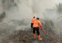Kebakaran Lahan Kembali Terjadi di Blambangan Umpu
