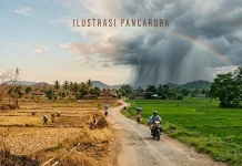 BPBD Way Kanan Imbau Warga Waspadai Cuaca Ekstrem
