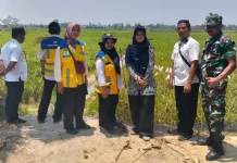 Babinsa Dampingi Pembangunan Saluran Irigasi Adipuro