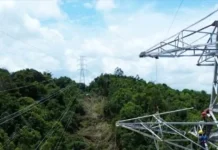 Dinas Kehutanan Kawal Rencana Pemasangan Listrik di Kawasan Hutan Way Kanan