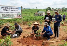 Minat Pemuda Baradatu terhadap Pertanian Masih Rendah