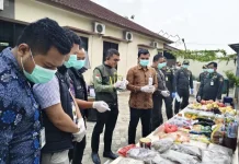Karantina Lampung Musnahkan Produk Hewan dan Tumbuhan Asal Luar Negeri