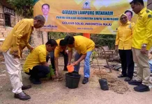 Golkar Umpu Semenguk Perkuat Konsolidasi hingga Kampung