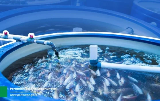 Akuakultur Ditekankan sebagai Pilar Ketahanan Pangan Nasional