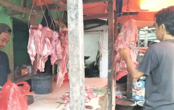 Pemerintah Pastikan Produk Hewan Ternak Way Kanan Aman Dikonsumsi