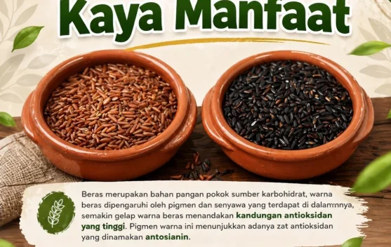 Yuk, Kenali Beras Berpigmen: Si Kaya Manfaat Selain Beras Putih