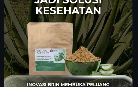 BRIN Hadirkan Serbuk Lidah Buaya Instan, Praktis dan Bergizi