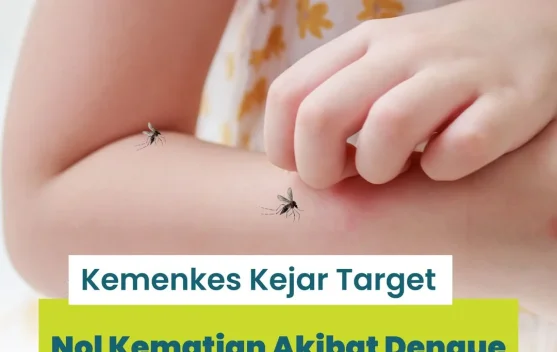 Kemenkes  Kejar Target Nol Kematian akibat Dengue di Tahun 2030