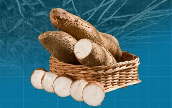 Potensi Singkong Tingkatkan Ekonomi dan Ketahanan Pangan