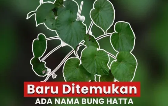 BRIN Ungkap Lukisan Cadas Muna Berusia 67.800 Tahun, Tertua di Dunia