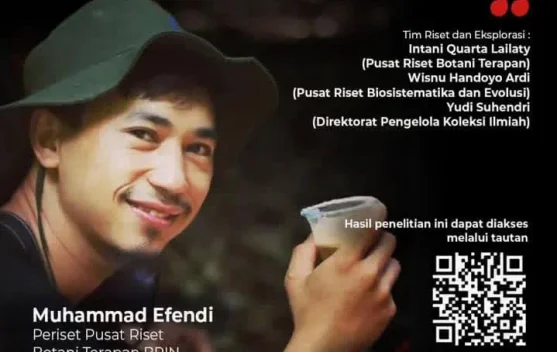 BRIN: Penemuan Begonia hattae di Hutan Karst Sumatra Barat