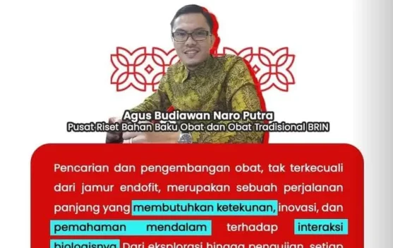 BRIN Miliki 2.000 Isolat Jamur Endofit, Dorong Kemandirian Obat Nasional
