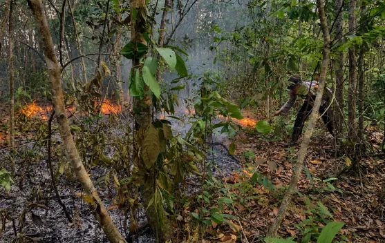 Lahan Terbakar di Jalinsum Way Kanan Berhasil Dipadamkan