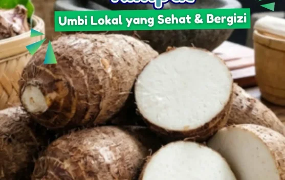 Kenalan dengan Kimpul: Umbi Lokal yang Lezat, Bergizi