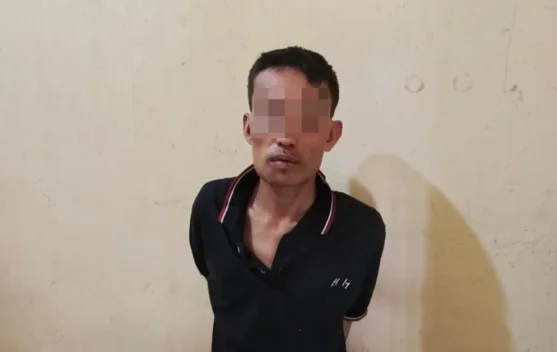 Polisi Ungkap Pencurian 41 TBS Sawit di Way Kanan