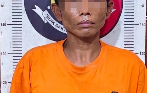 Curi Dua HP di Warung Makan, Pria Asal Muara Enim Ditangkap