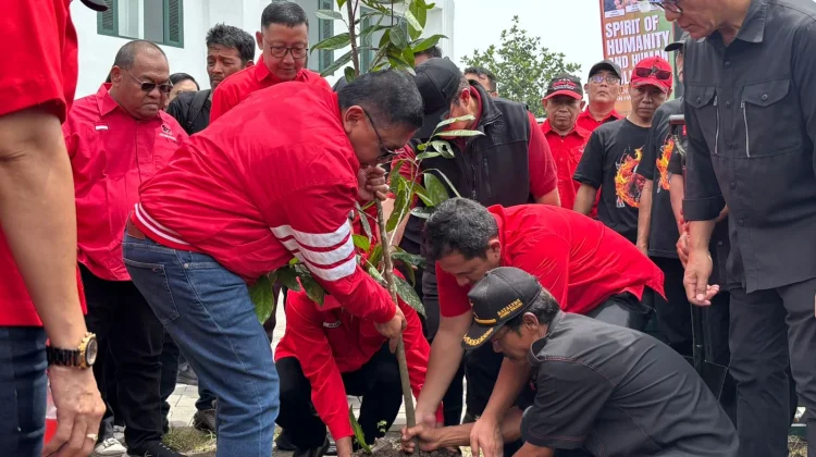 Tanam Pohon di Yogyakarta, Hasto Kristiyanto Ajak Kader Tangani Sampah