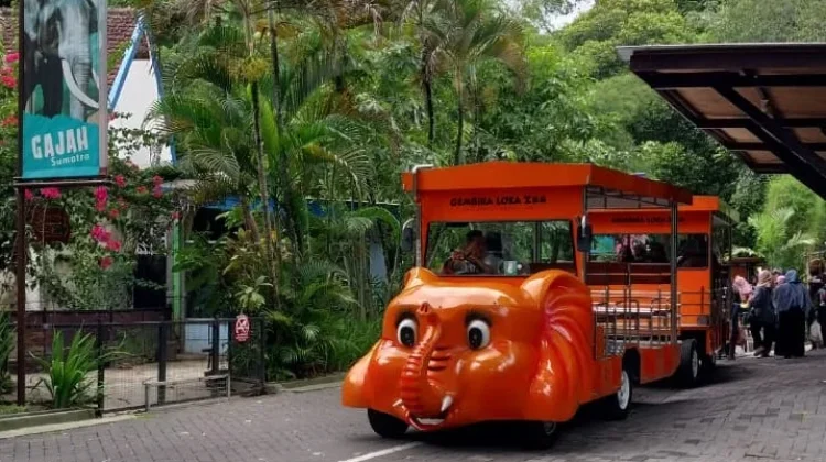 Sambut Imlek, GL Zoo Gelar Karnaval, Ada Barongsai hingga Kuda Lumping