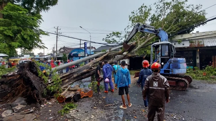Cuaca Ekstrem, Pohon dan Tiang Listrik Roboh di Jalan Parangtritis