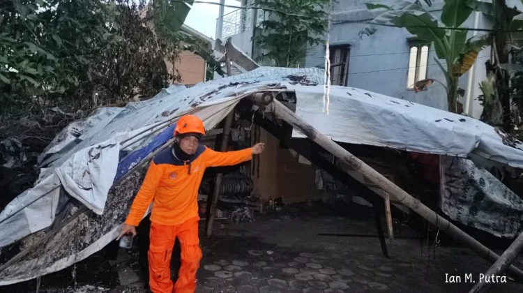 Pohon Bertumbangan Pasca Hujan Deras di Kota Yogyakarta
