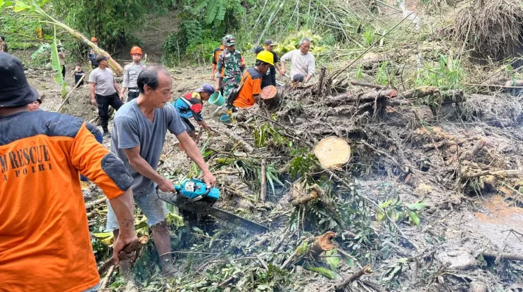 Cuaca Ekstrem Picu Pohon Tumbang hingga Tanah Longsor