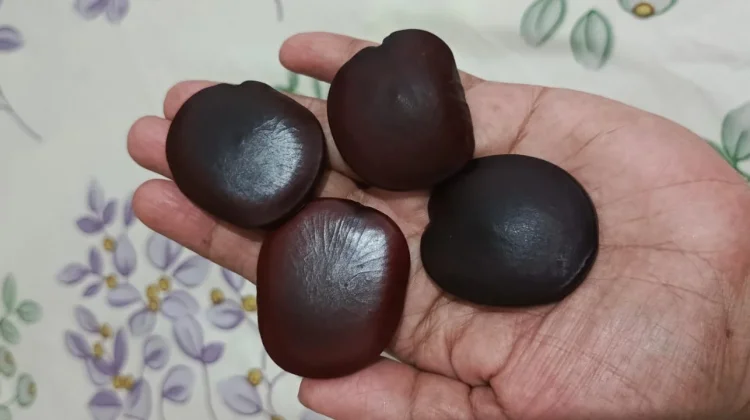 Cendana, Pengharum Alami Multi Manfaat