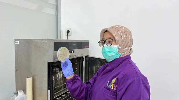 Kebocoran Asam Nitrat di Cilegon, Pakar UMY Sebut Dampaknya