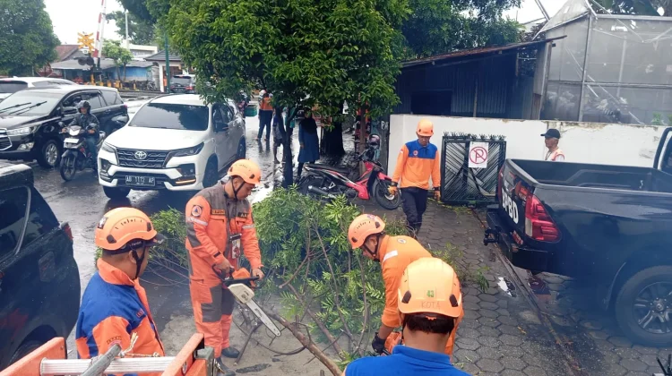 Dahan Pohon Lamtaro di Tegalrejo Tumbang, Sempat Ganggu Akses Jalan