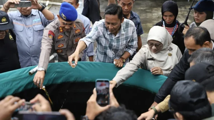 Jaga Ekosistem Lokal, Dinas Perikanan Bantul Musnahkan 7 Ikan Aligator