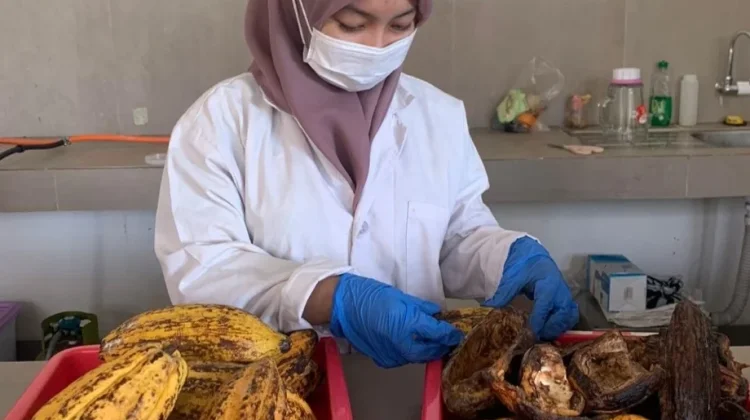 Mahasiswi UNU Riset Pangan Lokal untuk Cegah Diabetes