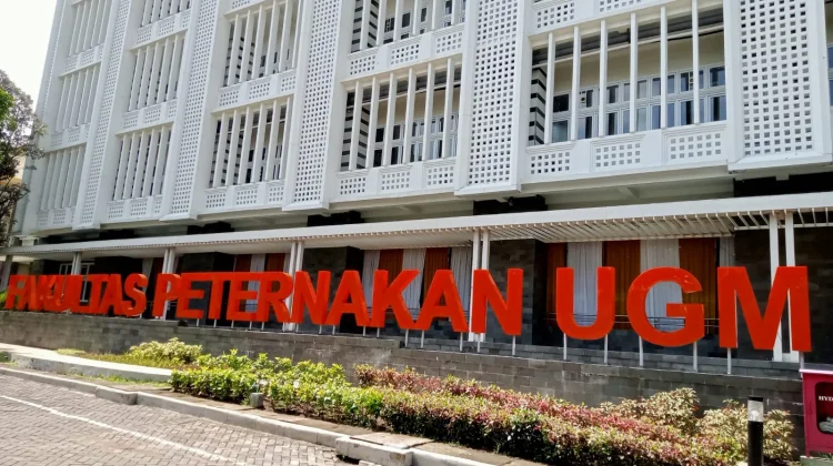 Dosen Fakultas Peternakan UGM jadi Asesor