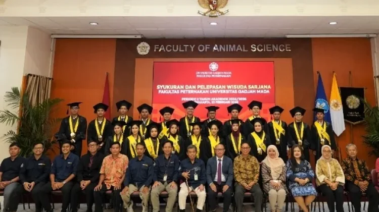 Lulusan Fakultas Peternakan UGM 42 Persen Cum Laude