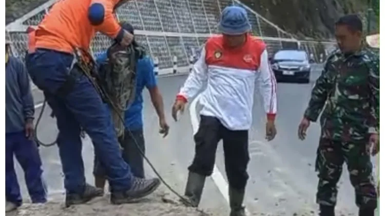 Longsor Tutup Jalan Clongop, Akses Sempat Lumpuh