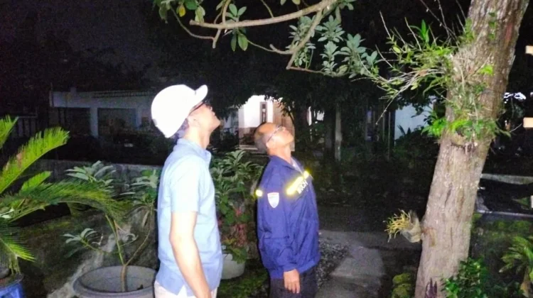 Korslet Listrik, Kabel PLN di Sabdodadi Keluarkan Percikan Api