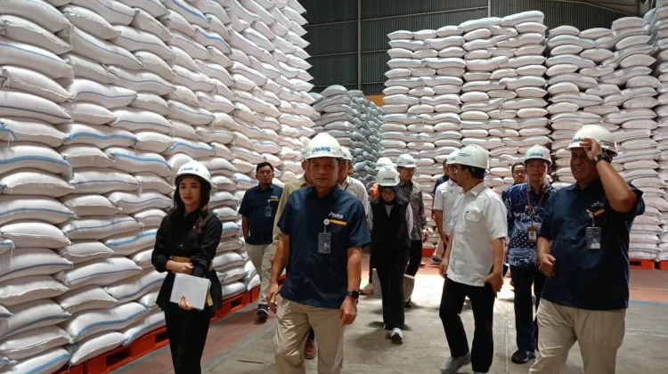 Ketersediaan Beras di DIY Aman, Bulog Sebut Stok Mencapai 48.000 Ton
