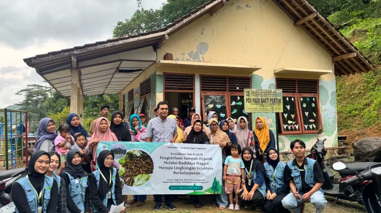 Budidaya Maggot Jadi Program KKN Mahasiswa UNY di Kulon Progo