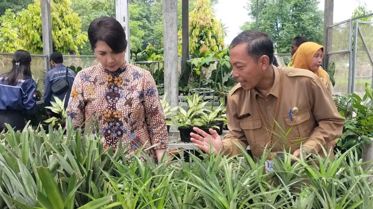 Jogja Agro Park Dikembangkan sebagai Pusat Pertanian Kulon Progo