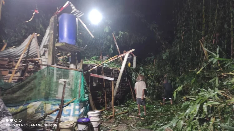 Rumpun Bambu di Seyegan Tumbang usai Hujan Angin, Timpa Kandang Puyuh