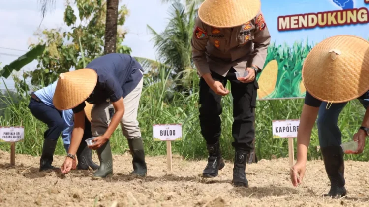 Ketahanan Pangan, Polres Kulon Progo Tanam Jagung Serentak Kuartal Satu