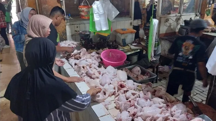 Harga Daging Ayam di Yogyakarta Naik, Pedagang Sebut karena MBG