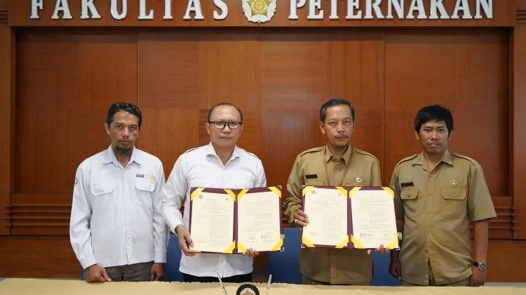 DPKP DIY Gandeng Fapet UGM Gelar Bimtek Budidaya Kambing dan Domba
