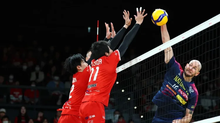 Wolfdogs dan Great Bears Berbagi Poin di Lanjutan Liga Bola Voli Jepang