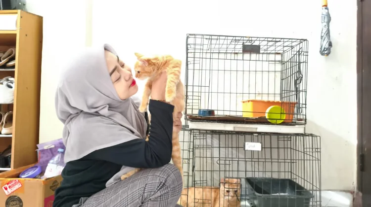 Momi Kiti, Penitipan Anabul untuk Misi Penyelamatan