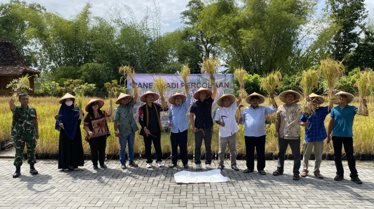 Padi Galon "JUL 14", Inovasi Bertani Bersih Solusi Ketahanan Pangan di Lahan Sempit
