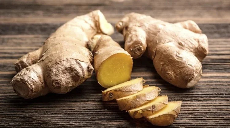 Jamu Indonesia Dikenalkan hingga ke Jepang