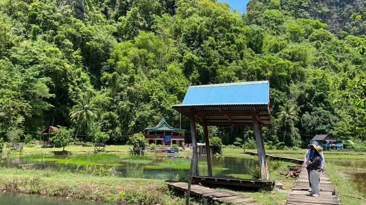 Dosen UGM: Hutan RI Tidak Sedang Baik-baik Saja