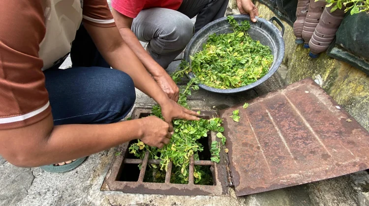 Perang Iran Picu Krisis, Peluang Pupuk Organik Terbuka